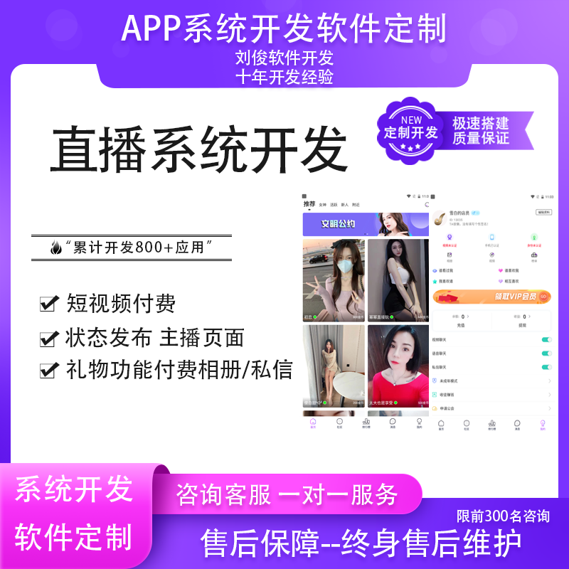 小程序语音开发价格(小程序和app开发价格)