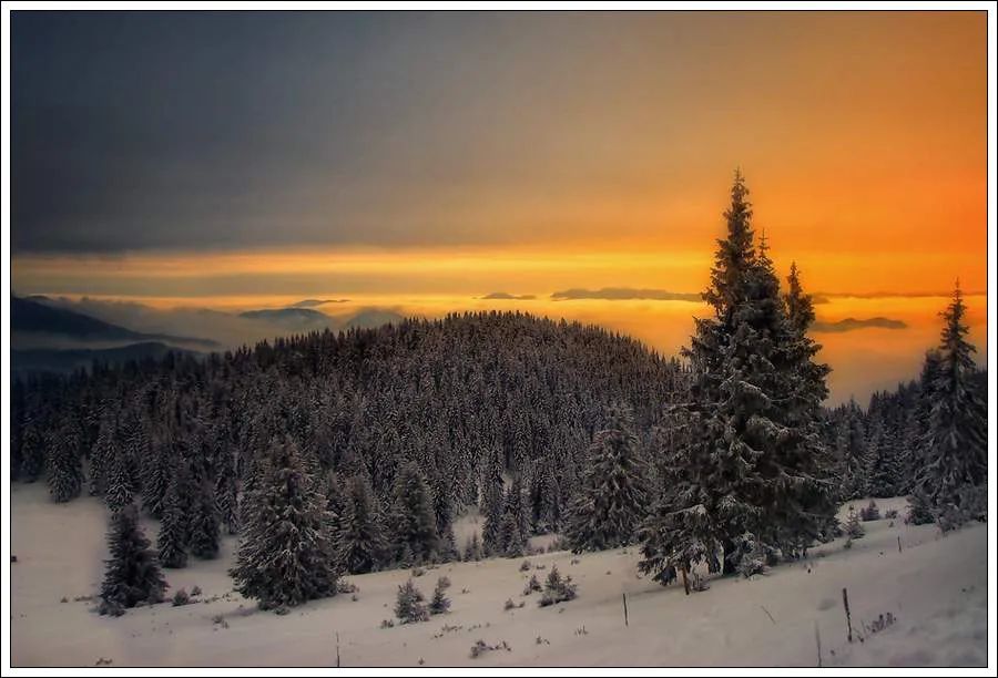 大自然互联网新闻(大自然科技有限公司事件)