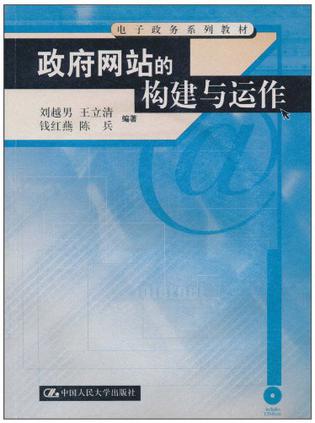 网站建设政府(政府网站建设研究)