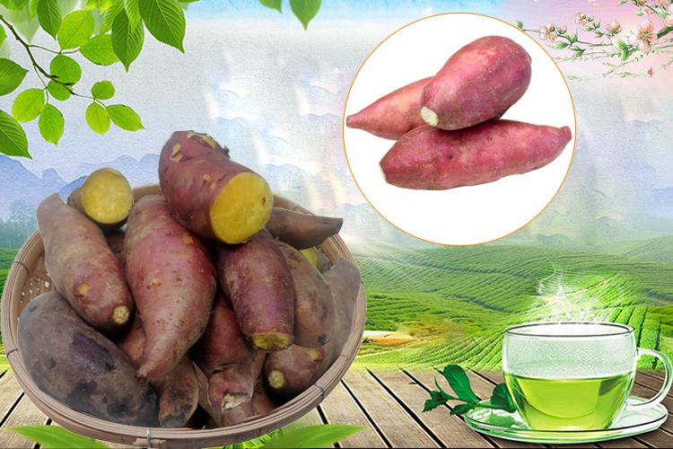 高州特产网站建设(高州百姓网免费发布信息网)