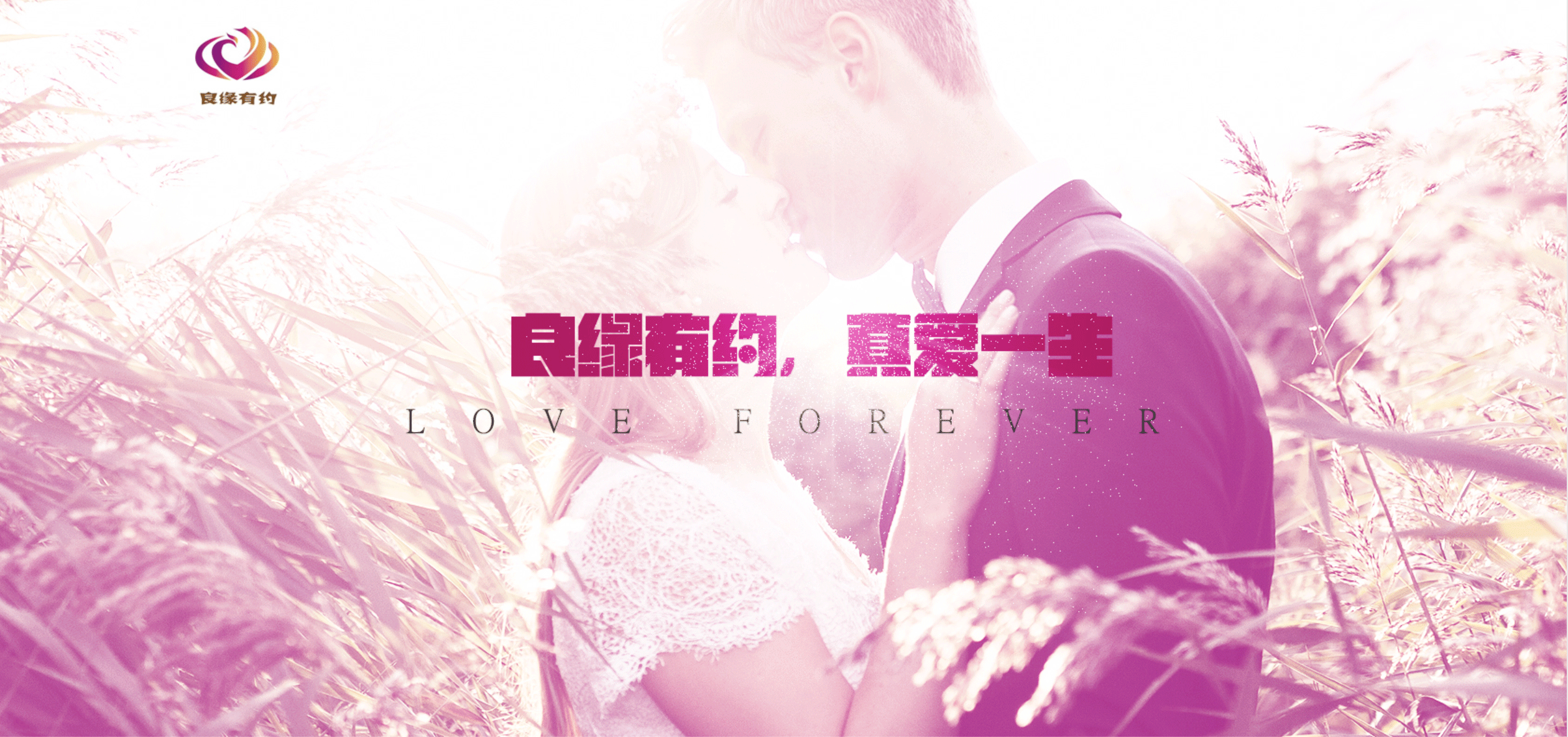 征婚网站建设(征婚网站哪个好)