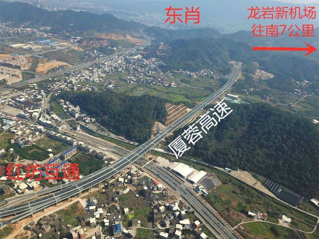 龙岩网站建设报告(龙岩网站建设多少钱)