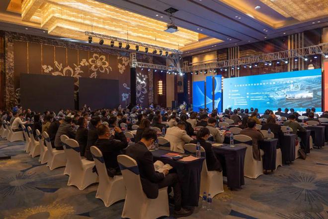 龙文互联网新闻(龙文网络科技有限公司)