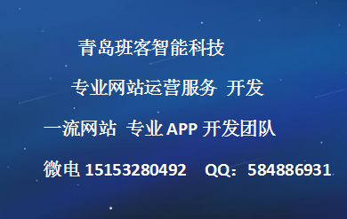 青岛网站建设营销(青岛网站建设营销公司)