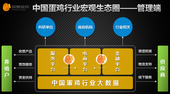 互联网养鸡新闻(网络养鸡投资是骗局吗)