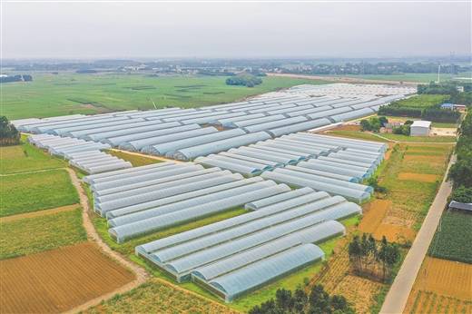 新闻晨报农业互联网(农业新闻网微信公众号)