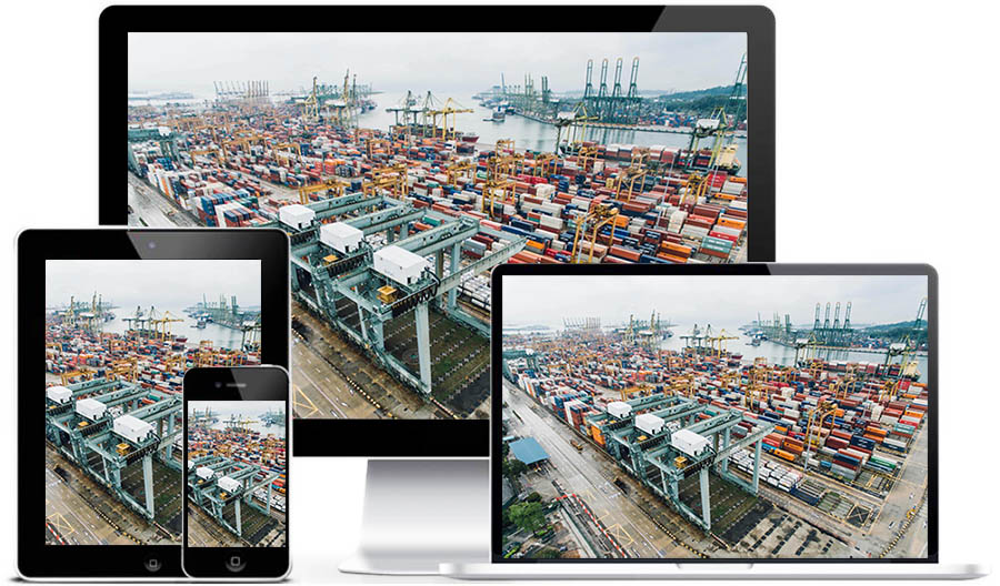 广州物流网站建设(广州物流交易业务模式启示)