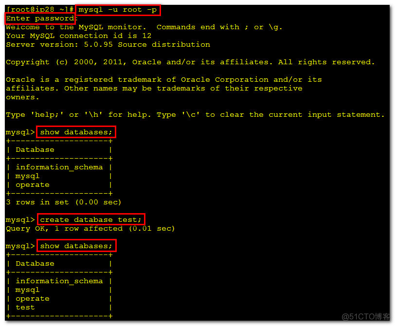 数据库网站建设(数据库网站建设实验报告)