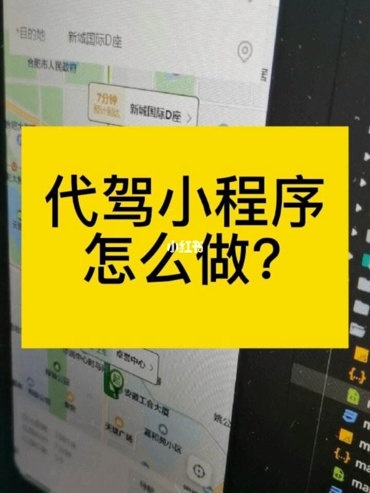 代驾小程序开发说明(代驾小程序开发说明怎么写)
