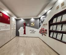 互联网示范党支部新闻(互联网党建工作开展情况汇报)