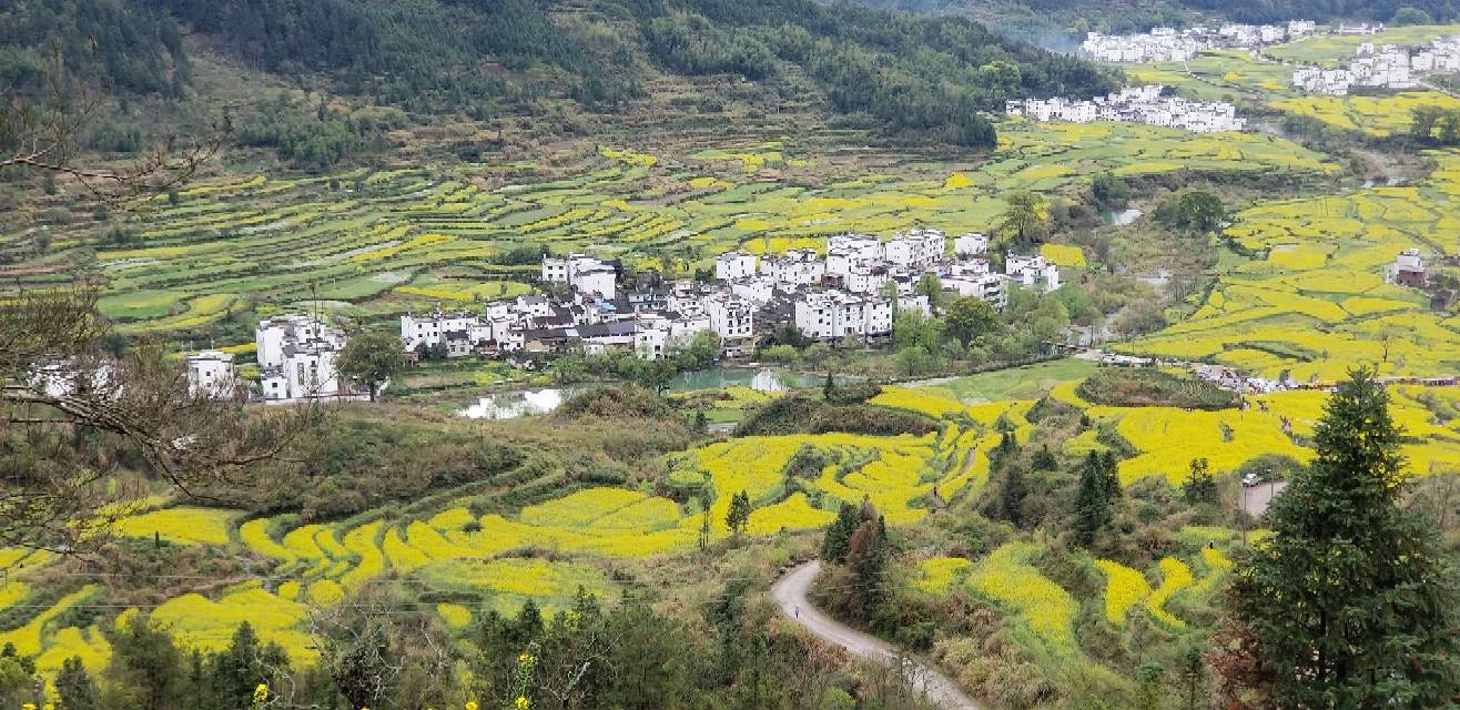 婺源网站建设(婺源建设项目新闻)