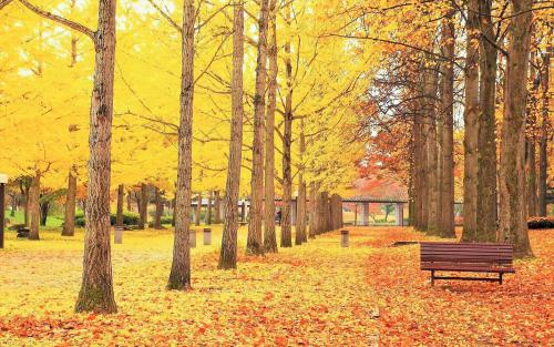 互联网新闻研究中心崔俊飞(互联网新闻研究中心崔俊飞主任)