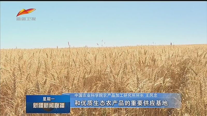 陇西县建设新闻联播网站(陇西新闻2020最新消息)